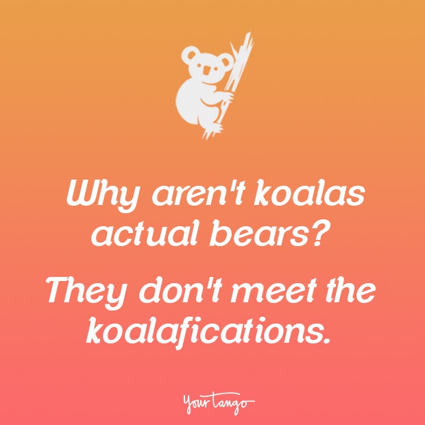 Wednesday memes funny jokes Wednesday memes funny jokes