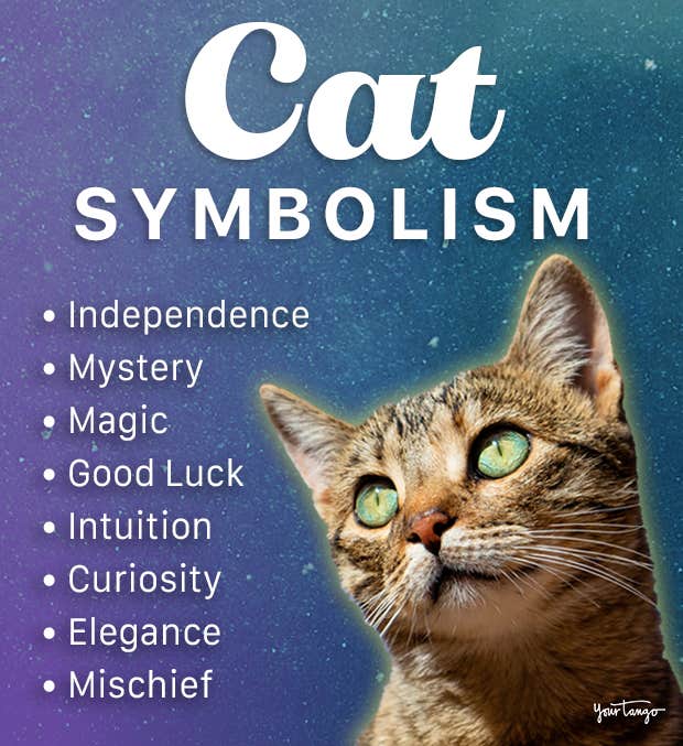 cat symbolism spiritual meaning