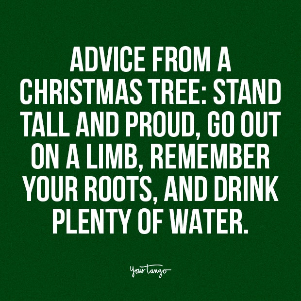 christmas tree captions christmas tree captions