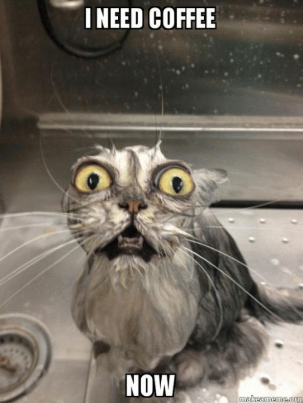 coffee meme coffee memes