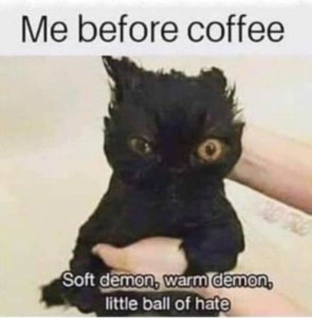 coffee meme coffee memes