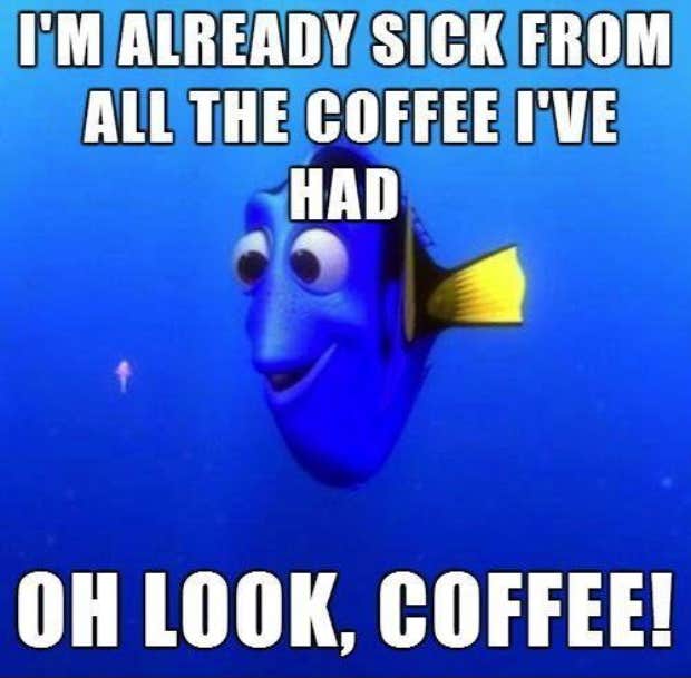 coffee meme coffee memes