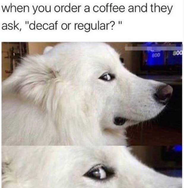 coffee meme coffee memes