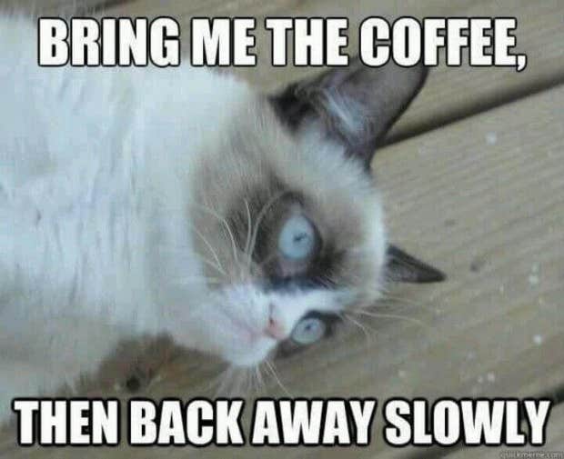 coffee meme coffee memes