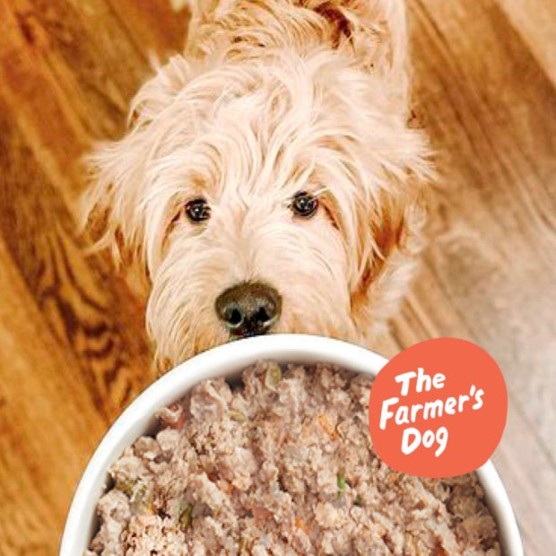 creative valentine's day gifts