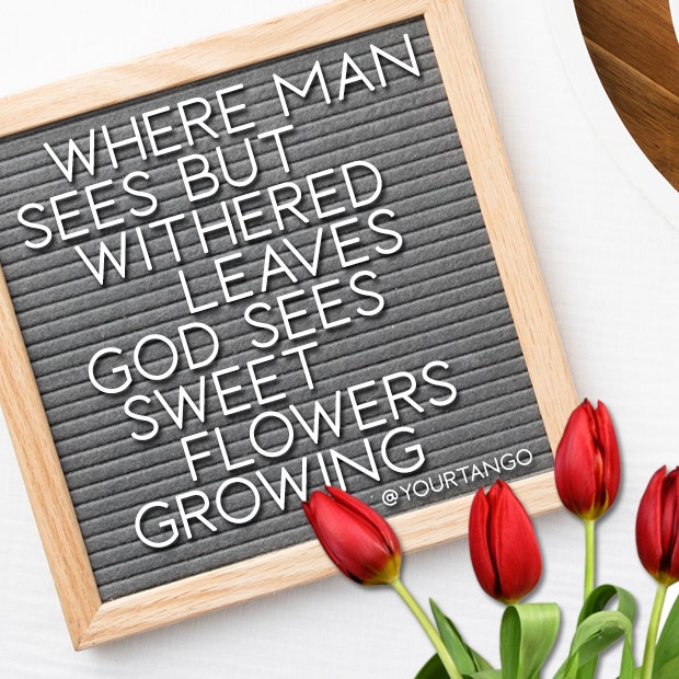 easter letter board quote ideas albert laighton spring letter board quotes