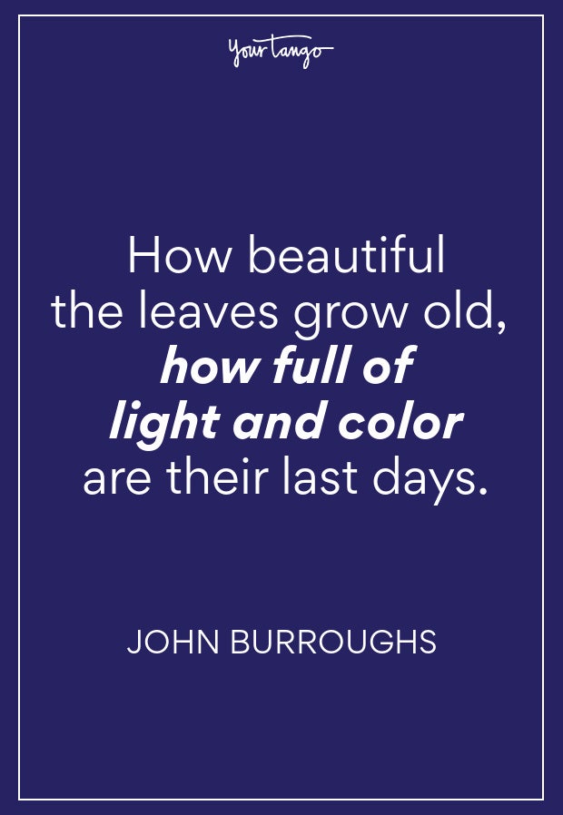 John Burroughs Fall Quote