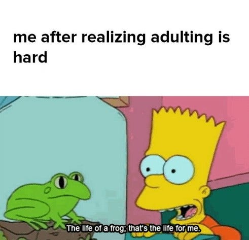 funny adulting memes funny adulting memes