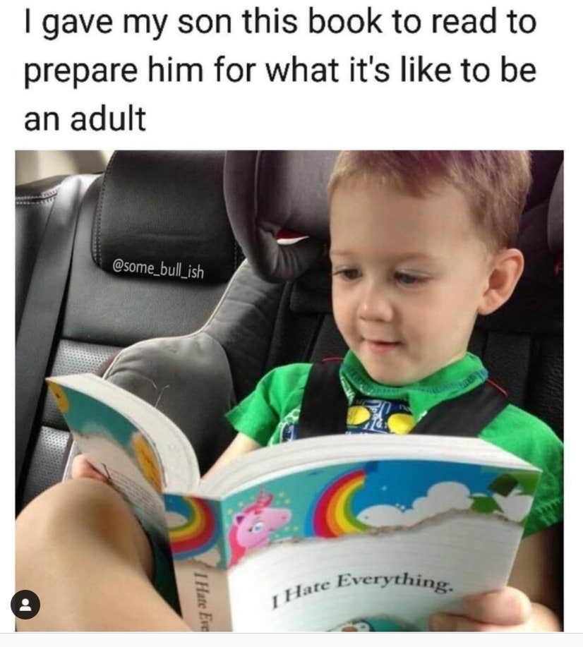 funny adulting memes funny adulting memes