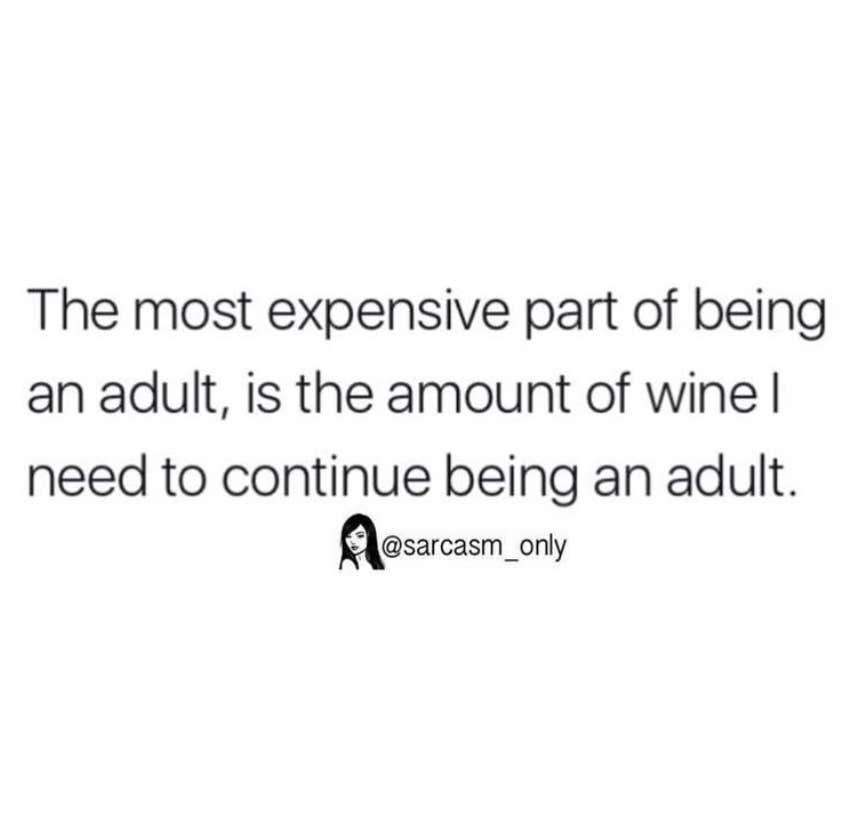 funny adulting memes funny adulting memes