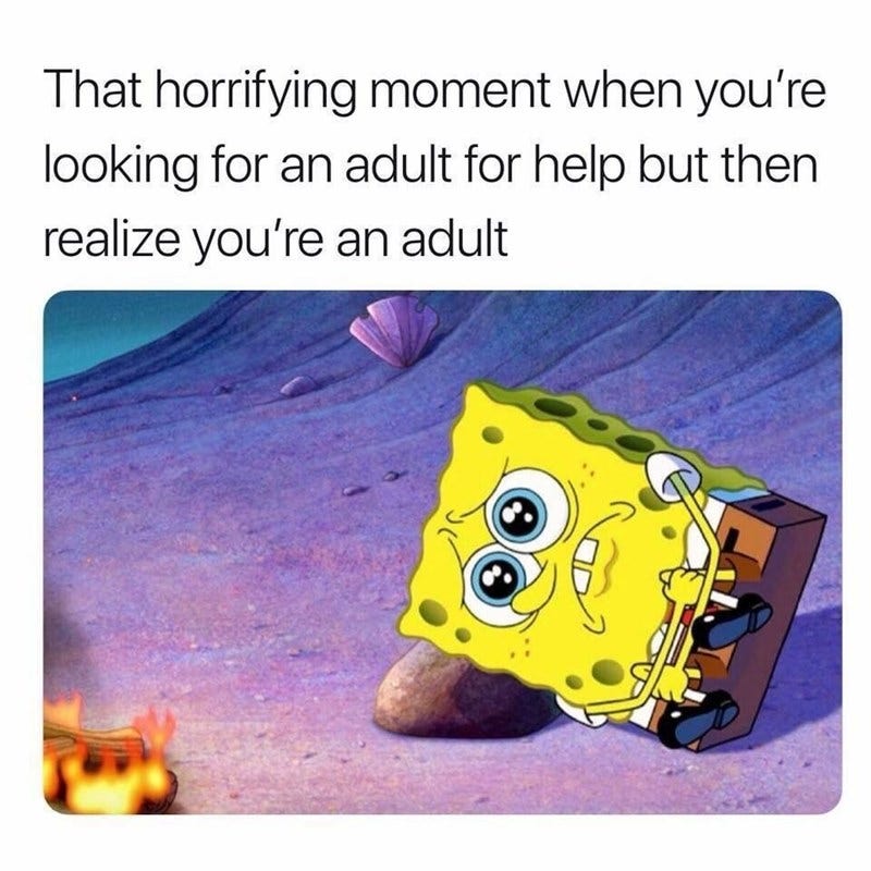 funny adulting memes funny adulting memes