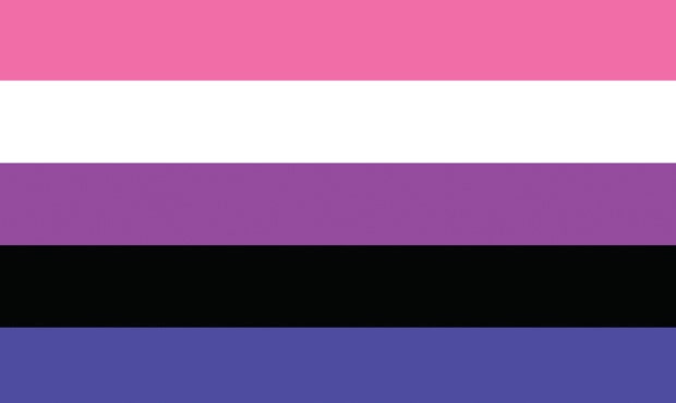 Gender Fluid Pride Flag