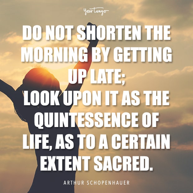 Arthur Schopenhauer Good Morning Quote Arthur Schopenhauer Good Morning friends