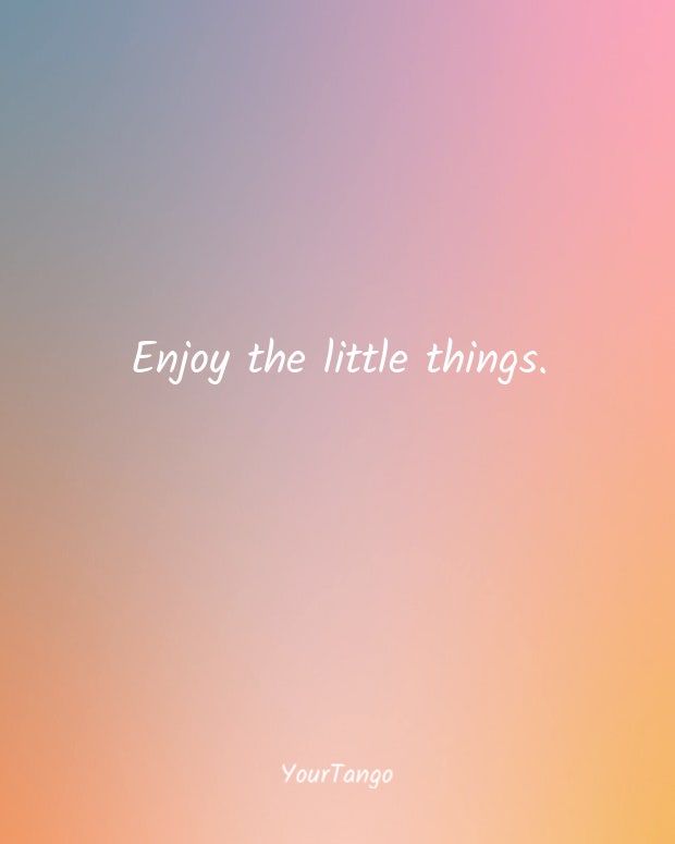 happiness quotes happiness quotes