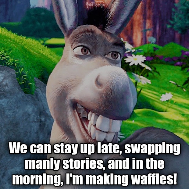 Shrek quote Shrek quote