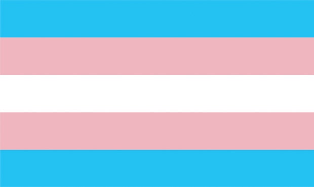 Transgender Pride Flag