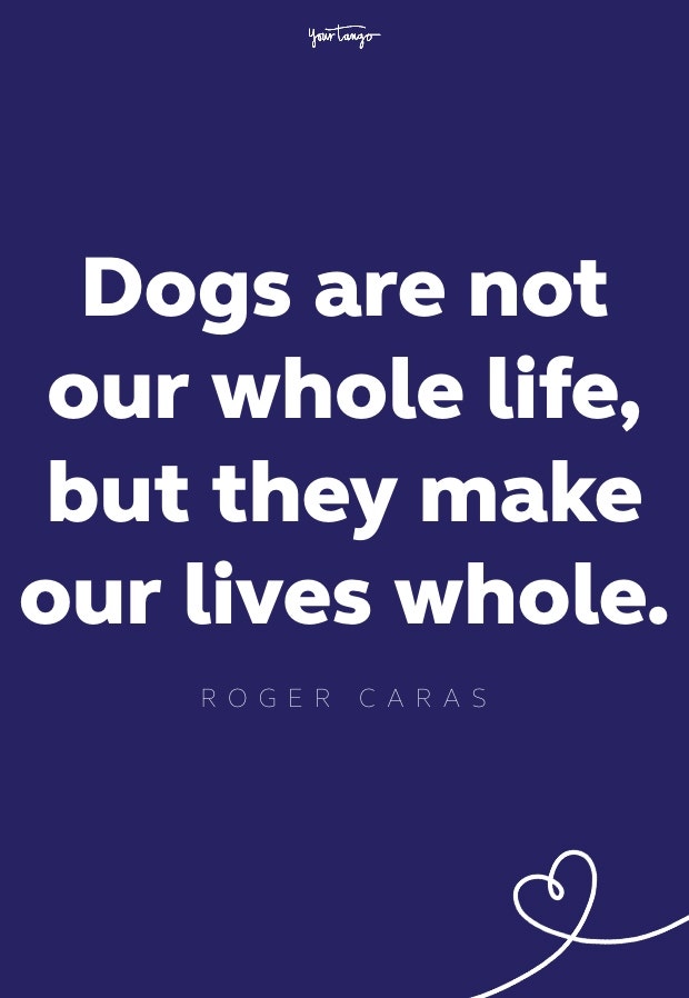 roger caras words of comfort roger caras words of comfort