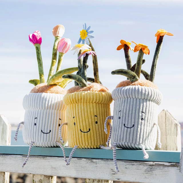 Bunnies By The Bay Window Silly Tulip