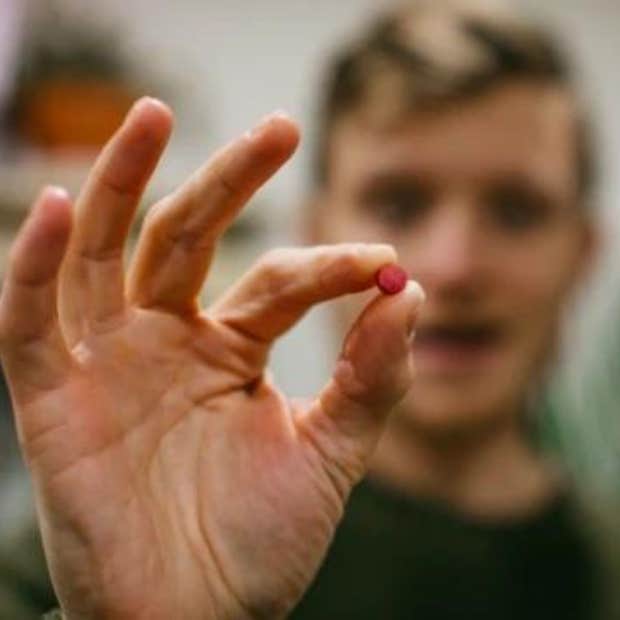 What happened when I tried Miracle Berry What happened when I tried a Miracle Berry